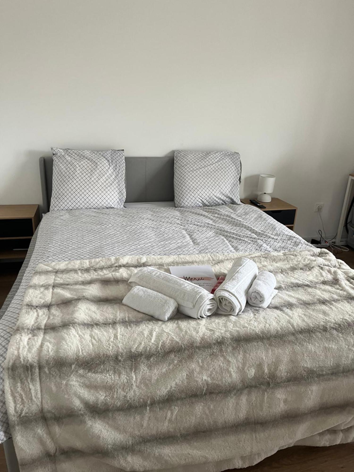 Appartement Luxueux Au Coeur De Lille Luaran gambar